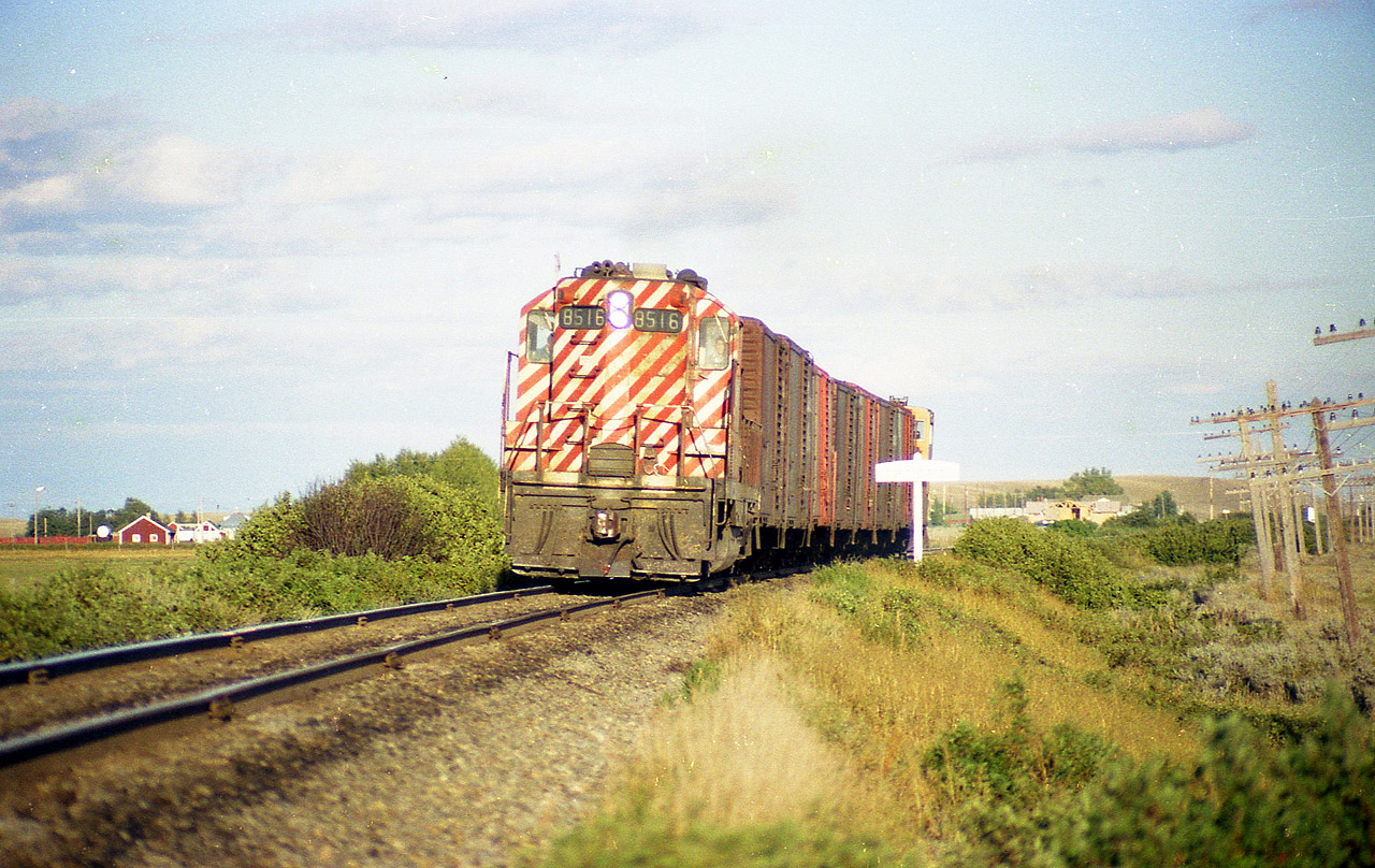 CP GP9 8516 heading westward into the setting sun with a short train in tow. Probably going back to Medicine Hat. It is a shame the glare of the sun blots out the namesign.  This old locomotive was around until very recently, albeit incognito, as CP 8250, which it became in 1997, after some years as 1572 after going thru CP rebuild program in the late 1980s.  Now it has gone to Larry's Truck & Electric. Some never die.
