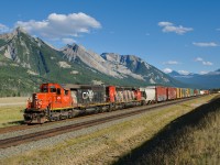 CN SD40u 6011 and SD40-2W 5246 hustle the Hinton-Jasper turn eastward at Henry House.