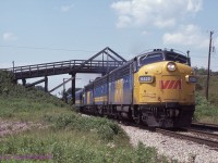 <b>Time Machine:</b>I would like to submit this photo to Time Machine along with my friend Geoff Elliotts Shot <a href=http://www.railpictures.ca/?attachment_id=10373 target=_blank> (Photo id 9414)</a>. VIA No 74 passes under the Franks Lane bridge. July 24th 1981
