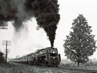 Anyone care for a little smoke?
<br>
<br>
The Mountain-type puts on an impressive runpast on her excursion from Toronto to Allandale in July, 1980.
<br>
<br>
In case you missed it, here's a photo taken that day at the Allandale Station...
<br>
<br>
<a href=http://www.railpictures.ca/?attachment_id=17841>http://www.railpictures.ca/?attachment_id=17841</a>
