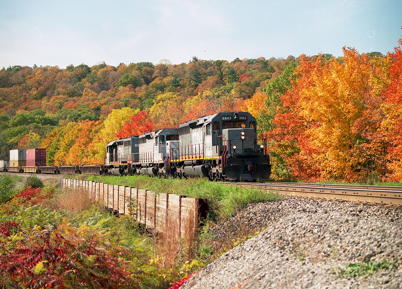 A gray sunny day. Mid-October days along the curve at mile 2 Dundas (just off York Rd) were to me a great experience. There was a brief period around that time, due to CN shoring up the banks there, that the area was devoid of vegetation and a great shooting angle had opened up. And the maples were ablaze. This was one of those perfect mornings. And along comes #148 !! All Gray!!!  Most unusual. Leaser CEFX 3105 was sandwiched between two   SD40-3s, remanufactured (1998) former GCFX locomotives that began lives as CN SD40s. This location is now pretty much overgrown and photography is very limited, as one would have to stand far too close to the rail than is safe. Image shot with Mamiya 645 400ISO neg. Sun angle past 1030 here becomes dicey for eastbounds such as this.