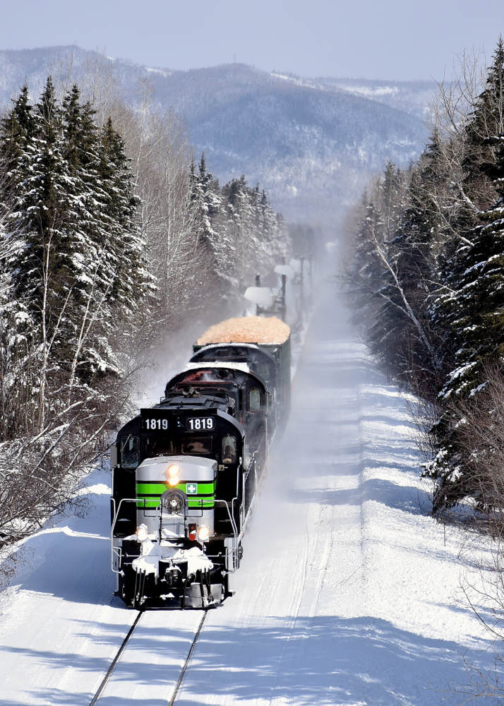 Three ex-CP RS-18's (two recently repainted into an SP Black Widow-inspired paint scheme) lead a train consisting of 72 flat cars holding 48 windmill blades (as well as 1 loaded woodchip car up front), on its way nearby Matapedia and interchange with the CN. These windmill blades are destined for Texas and represent a new business for the Société du chemin de fer de la Gaspésie, which runs this scenic ex-CN line.