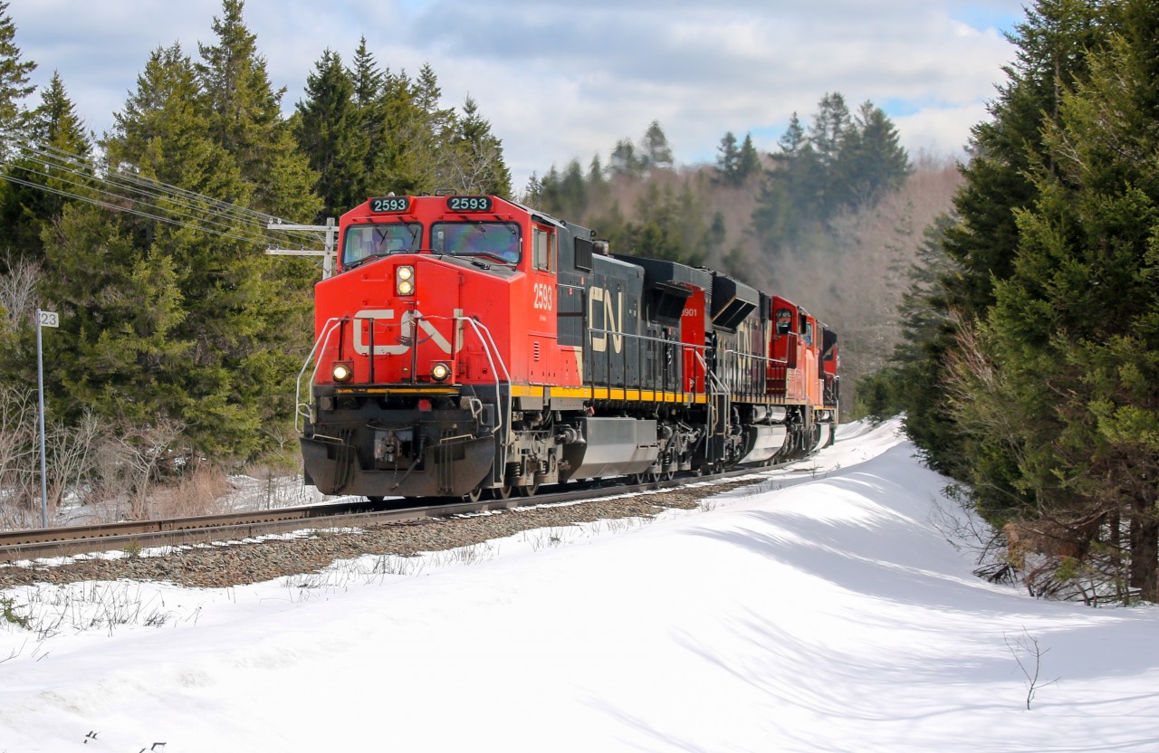 CN 2593 leads CN 8901, CN 5786, CN 8960 and a train with a mixed cut of cars up the grade towards Folly Lake just before the Stevens Rd crossing