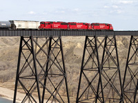 Three SD60 lead a train east across the massive bridge in Lethbridge, Alberta.