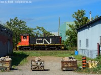In response to Arnold and Paul's interest in SW1200's on CN - here's a photo from the North End of Hamilton - where we see CN 7304 working CN's Parkdale Yard in 2016. Who has shots of the two SW1200's based out of Toronto?