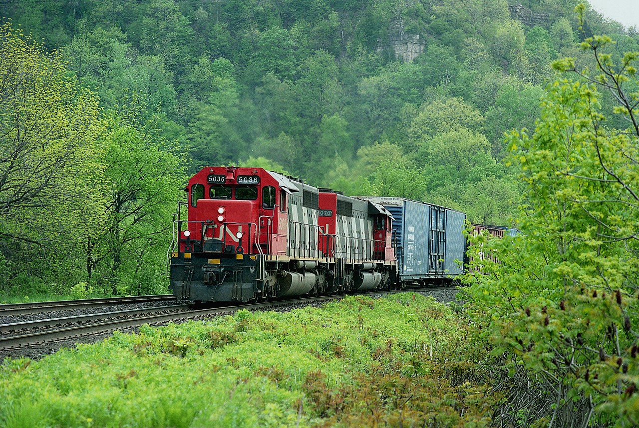 It is a sea of green as lush foliage begins to really come into form in this mid-May photo taken at the base of Dundas Peak some years back. And the straight SD40s look nice. Too bad they are long gone from the roster. This image of CN 5036 and 5076 west I thought would make a St. Paddys Day "green" offering but I plum forgot about it. Oh well. Only a day late.