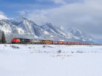 Due to ongoing problems on BNSF's Hi-Line subdivision in Montana, there have been quite a few grain trains detouring on CN tracks between Vancouver, BC and Emerson, MB/Noyes, MN. Here we see CN C44-9WL 2503, CREX ES44AC 1317 and BNSF ES44C4 4261 leading CN F30651 05 (a.k.a. BNSF X INBNIL9 04) eastward on CN's Edson Sub at Henry House.