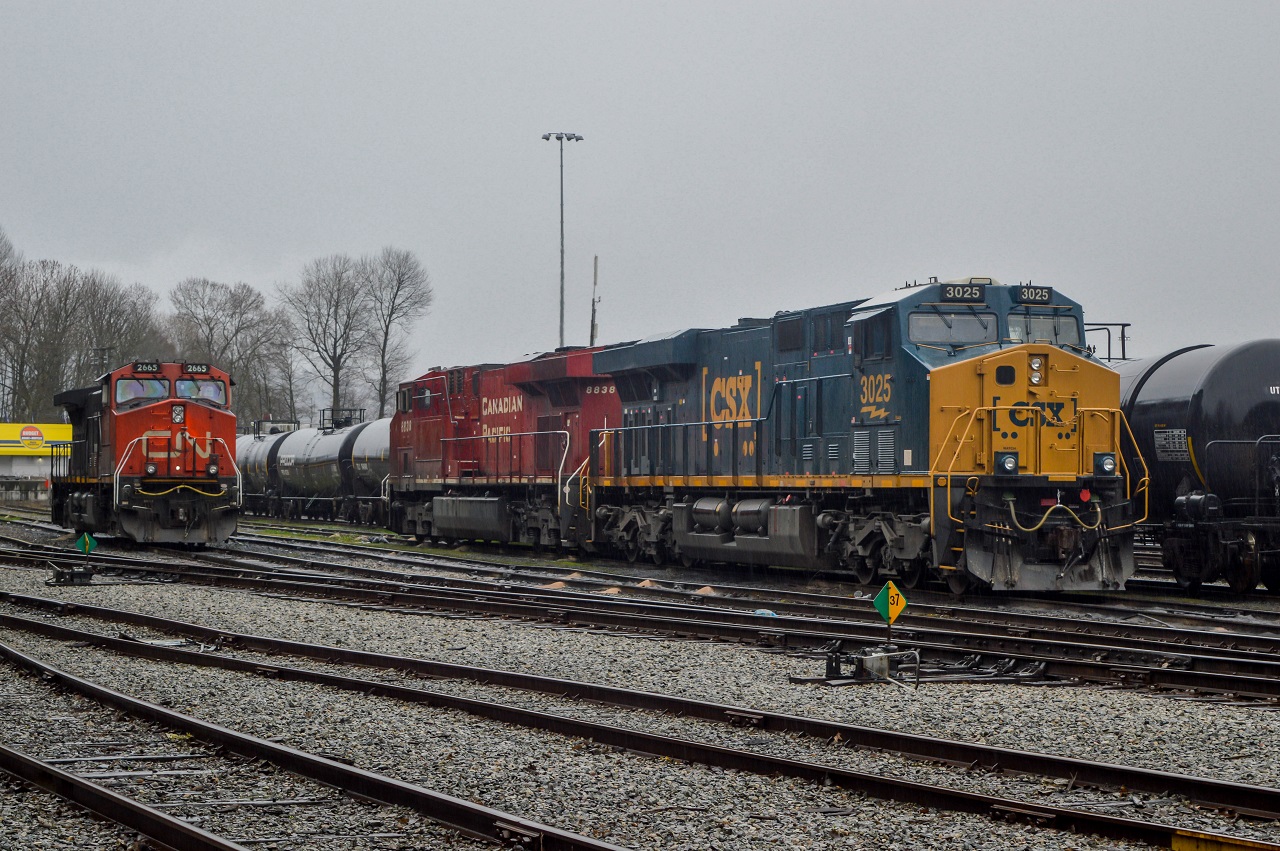 CSX on a CP on CN  A CSX ES44AH which came in on a CP potash train takes a rest between trips in CN's Lynn Creek yard.