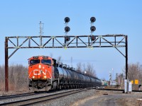 The last time I shot a westbound train under this signal bridge at Coteau there were 3 sets of signals for 3 sets of tracks. Since then the Ottawa Freight track and its corresponding signals have been removed at left. Here CN 377 speeds under the modified signal bridge with CN 2230 at the head end (and CN 8806 mid-train).