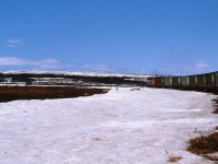 ROUNDING BLAGGARD'S CURVE. During the photographer's and his girlfriend's first Newfoundland train trip on April 20, 1987, each mile brought a pleasant surprise and on the approach to Quarry, it was no different. The ascent into the Topsails was well underway and after travelling several miles of relatively straight track Mixed Extra 945 West suddenly took a sharp 90 degree - even by Newfoundland standards - turn to the left. It then ran straight for a couple of car lengths before suddenly veering another 90 degrees to the right. In the past, when 80 to 100 cars where in the consist, photographers such as Mike Shufelt and Rich Taylor among others, captured entire trains entering and exiting Newfoundland's most famous 'S' curve.