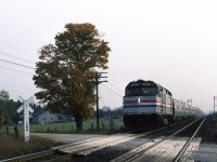 
THE INTERNATIONAL, combined Toronto-Chicago service operated jointly by VIA Rail Canada and Amtrak. Train 81 has 4 Amfleet cars behind F40PH 355 as it crosses Amiens Road immediately west of the diamond with CP's Windsor Sub.
This location would later have a connecting track installed between CN and CP and be given the name MELROSE. CTC installation on the Strathroy Sub. is also a number of years away.