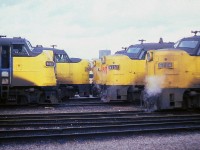 A Doug Lawson slide. Looking for all the world like fish in a tank, a gaggle of MLW and GMD noses are staring each other down, in between runs during the busy holiday time. Spadina was fan-friendly, as long as you didn't you over-step your bounds. In a few years it would disappear when the ball stadium SkyDome was built. The cab units would begin retirement after the late 1980s, a combination of cutbacks and the new F40s.