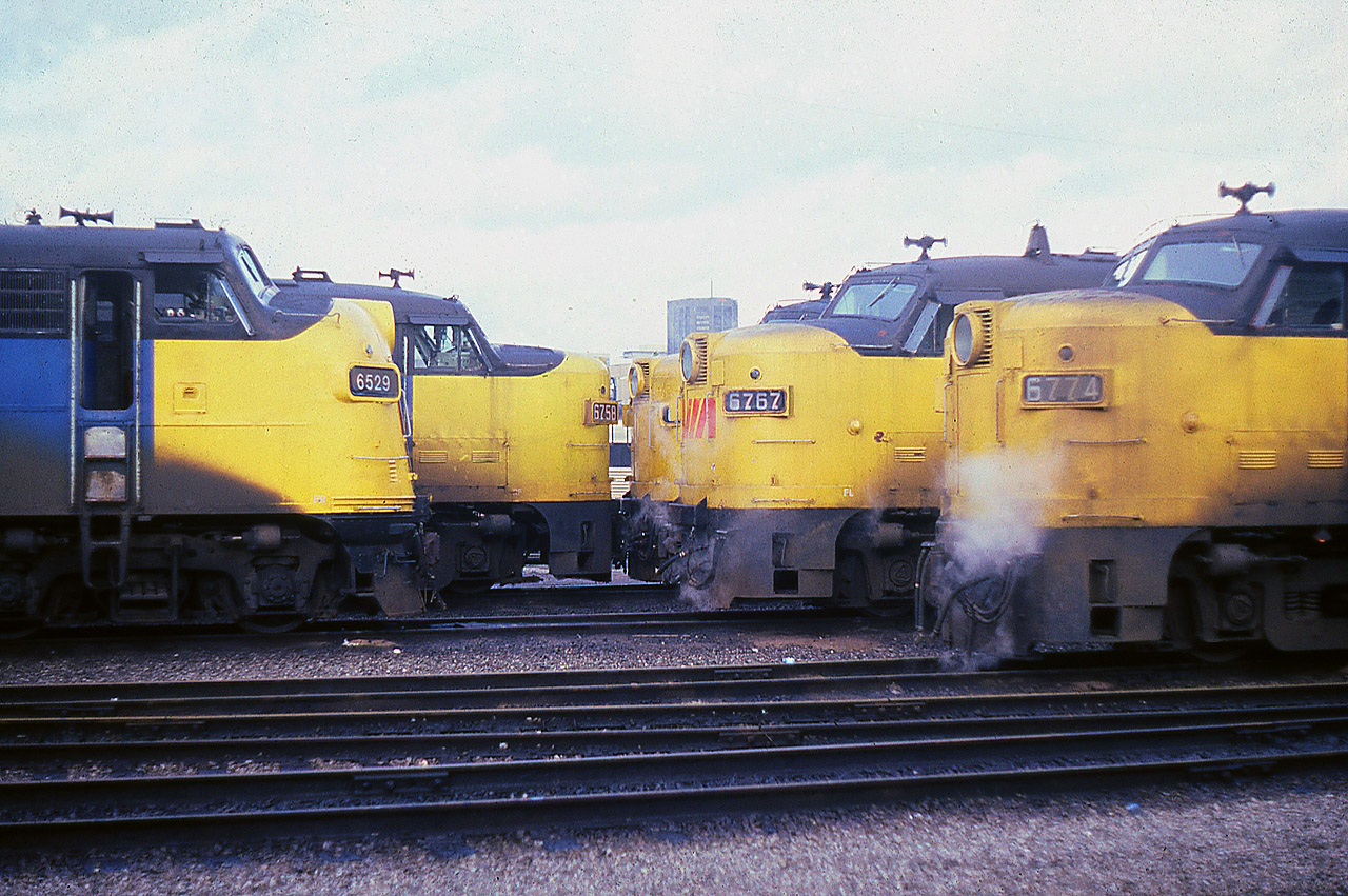 A Doug Lawson slide. Looking for all the world like fish in a tank, a gaggle of MLW and GMD noses are staring each other down, in between runs during the busy holiday time. Spadina was fan-friendly, as long as you didn't you over-step your bounds. In a few years it would disappear when the ball stadium SkyDome was built. The cab units would begin retirement after the late 1980s, a combination of cutbacks and the new F40s.