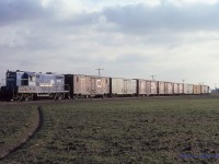 Conrail GP-7 5826 ambles Northbound with the "Leamington Local" train WQST-1 on a chilly December 20th 1984 across the flat farmland of Essex County North of Leamington, Ontario.  Upon arrival at Comber, the cars will be set off for "The Plug" WQWI to lift to St Thomas. WQLE will pick up empties for Heinz and return to the Southernmost rails in Canada. 