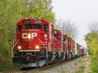 The benefits of having the Windsor Subdivision right behind the place you work at can be quite challenging at times. Especially while having to work, hearing trains rolling on by as many as 6-7 in an 8 hour shift! However, every once in awhile, patience pays off and luck is on your side when you are on an afternoon break. With only 15 minutes to spare, I quickly walked over to the West Street crossing, and sure enough, just after 5 minutes of watching, this freight rolled on through. CP 2319 leads the charge, with a second similar unit behind it, and a larger unit trailing as the third engine. Normally it would be reversed with a large unit leading the charge, but not today. I like the smaller units as that CP red shows off better against the 'spring green' budding in the trees.
