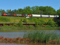 While most opted to remain up on the Laking Gardens Bridge, I ventured into the depths of the Royal Botanical Gardens for this shot.  CN 550 heading to the Hammer from Aldershot to work Stuart Street Yard and other locations in town.  It was nice to see everyone out today at the Meet!