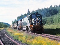 A sunny July morning, northbound stopped at Hixon BC and had time for a photo or two. I can't recall if we were meeting the  southbound Budd car or waiting for a relief crew. We were either running as a late "VC" symbol or early "VO". At the time it was time table scheduled trains with train orders. Note the white flags and lights on the 704, denotes we were an "extra" with train orders to "run extra".