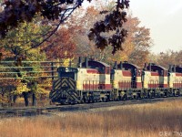 Canadian Pacific SW1200RS 8147 leads a 4-pack of sister SW's running "Elephant Style" westbound through Lambton Park on the Galt Sub, in the Fall of 1969. Intended for branchline use, CP's SW1200RS units often found themselves in mainline service in solid packs of 3 or 4 units.