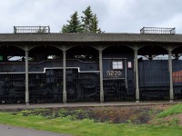 Despite the amount of pigeon poop, over grown and untended gardens, and the lack of paint, former CNR 5270 has a weather shed and formidable fence, to protect it.  Some vandalism has occurred, but with the cab welded shut and windows sealed, not to mention a roof over it, the Pacific has potential for eventual restoration.