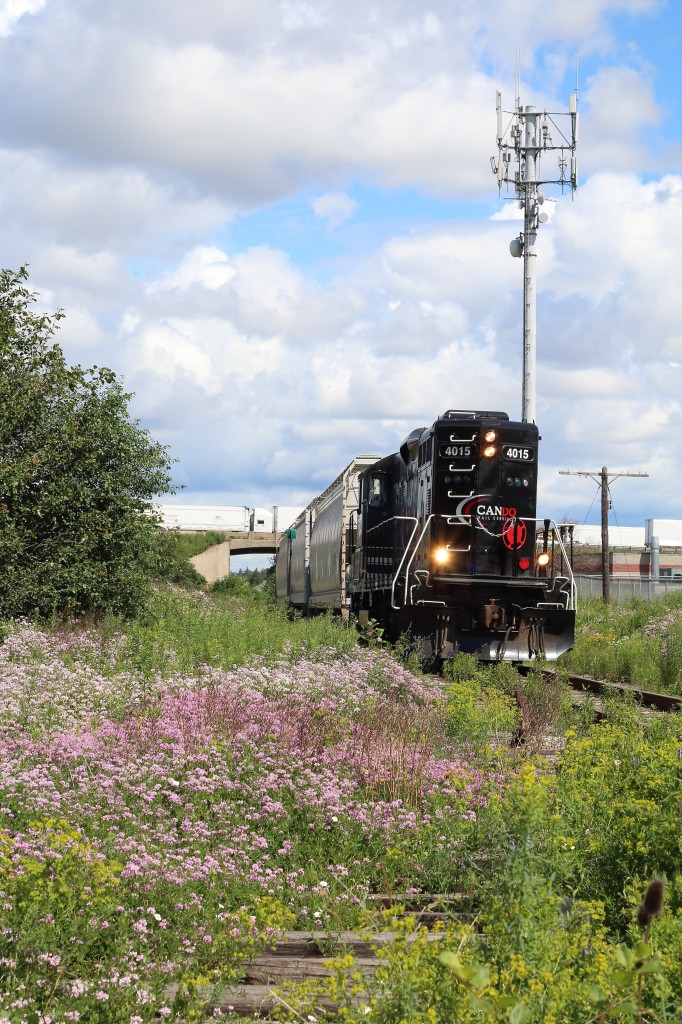At least all of this rain has been good for all the trackside flowers, although some areas are quickly becoming overgrown. Here we see the twice a week southbound OBRY train passing the flowers at an abandoned industrial spur just south of highway 401 in Streetsville's north end, during a break in the clouds.