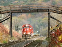 Remember when Ontario had GP40-2's? 4656 makes short work of the escarpment hill, based on the flying leaves, as the "Sprint" mimics its name. 