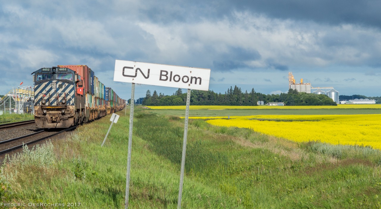 CN 108 awaits the arrival of CN 115 in the Bloom siding, on a sunny Canada Day morning.

BCOL 4652 & CN 2240