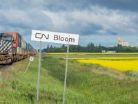 CN 108 awaits the arrival of CN 115 in the Bloom siding, on a sunny Canada Day morning.

BCOL 4652 & CN 2240