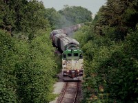 The fledgling GEXR had just completed its first 2 months of operations at the time this photo was taken. The view is of empties northbound to Goderich as seen from the bridge spanning the track on Avondale Av, NW part of town. Since the entire roster consisted of 4 identical GP9s, you pretty well knew what the power would be. :o) Sometimes they ran with three, but usually 2 locomotives and about a 20-25 car train. Loads were Sifto Salt (in season) bound for Ontario centres as well as Quebec, and Thompson Grain and Seed out of Seaforth (birdseed!) was another busy customer as well as Champion Road Graders in Goderich. There was enough business that the start up of 8 GEXR employees handled 7200 car loads the first year of operation; more than CN had the last years they operated the line. Sifto was especially pleased they could balance out their shipping a lot better, GEXR offered 5 day a week service as opposed to CN's 3. RailTex, the owner in the first years, offered at the time unique learning process for the non-union employees. They were trained in all positions from errand boy to engineer to office manager. Transportation specialists, I think they were called. I'm glad I managed the images along this line when I did, for all of us know whatever is powering a railroad today just may not be there tomorrow.