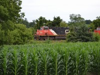 CN 394 crawls pass the Cornfields on the outskirts of Ingersoll, Ontario. 