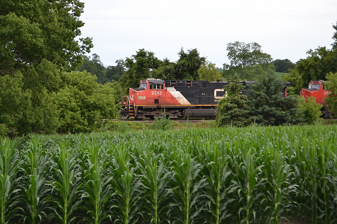 CN 394 crawls pass the Cornfields on the outskirts of Ingersoll, Ontario.