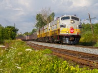 With the sun shining and the birds singing, it is a gorgeous August morning as Canadian Pacific train no. 40B races along the Belleville Subdivision at Cherrywood. Fresh out of Toronto yard, the train will make good time across Eastern Ontario before changing crews at Smiths Falls and crossing into Quebec for their next show in Montreal. 

Stephen Host and I chased the train 190 rail-miles east to Smiths Falls before calling it a day. Despite being out late playing rock n' roll the previous night and running on less than 2 hours of sleep, it was an exhilarating chase that was well worth the early morning. Thanks to everyone who kept us west-enders "in the know" on our chase from Toronto to Smiths Falls!