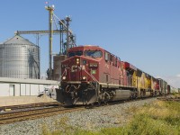 <b> Hard work DOES pay off!!! </b> My day began with a casual drive, out to see if there was any action around. My intent was at least trying to catch both the afternoon VIA trains, 76 & 73. However, at Dhillon road a long eastbound CP 650 was stopped, and slowly took the siding leading up to Bloomfield Road. Knowing that there may be another hot shot eastbound, or even better a westbound, I picked my spot in downtown Chatham to shoot from. I only got as far as William Street, and the barriers had come down as 235 was rushing west! I immediately pulled into a grocery store parking lot, turned around, and chased 235 all the way out to Haycroft. And still only had a quick few minutes to spare due to local traffic. It was worth it, as there were three engines leading this charge in CP 8742, UP 5086 and CP 5023. This is about as rare as three trains running daylight for the CP these days!