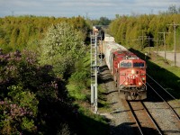 This is a follow-up image to A.W. Mooney's image from previous. An eastbound CP manifest is about to depart on a beautiful spring morning at Puslinch.