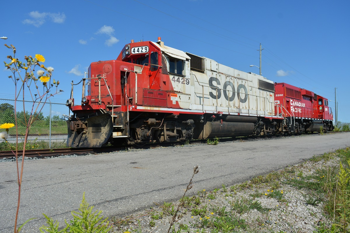 SOO 4429 sits at CP's Toyoya Yard awaiting their next move while paired up with a rather newer ECO