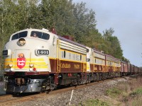 It wasn't the shot I originally had in mind, but Nashville turned out to be a wash due to the track angle. I was also considering Palgrave like a number of others but I knew the hike and climb to the spot I wanted would be too much for my two young boys. I could have gone it alone, but the excitement on the faces of my two young rail fans when I told them about the special "150" train meant more to me then the shot I really wanted. Here we are at Kirby Road crossing just south of Bolton as the quartet of vintage "F" units thunder past at full throttle. The photo certainly does not do the sound justice. 