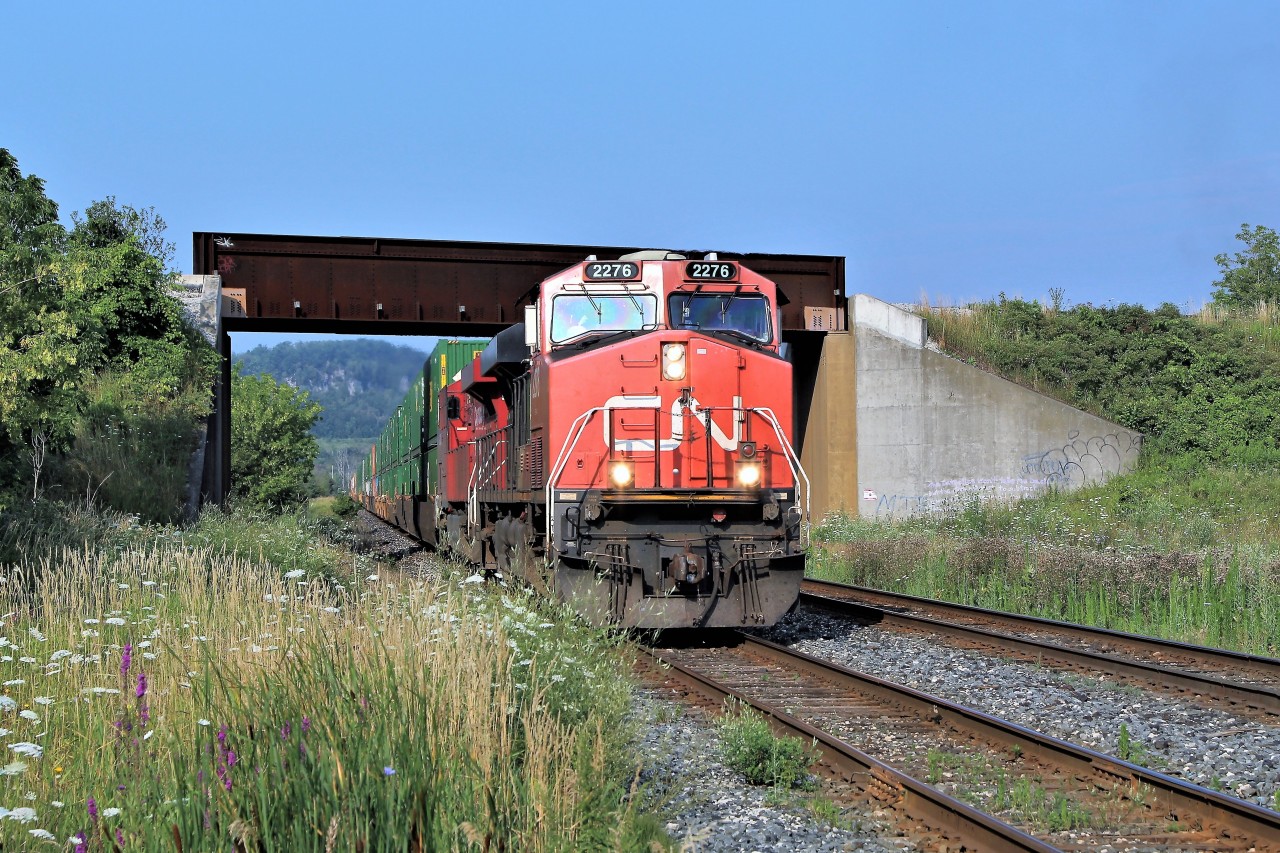 Yes, this is Canadian Pacific. Todays CP 142 had its rival in CN 2276 leading CP 9362 under the CN bridge at Bronte Street in Milton. I was hoping for an over/under shot here but luck was not on my side today.
