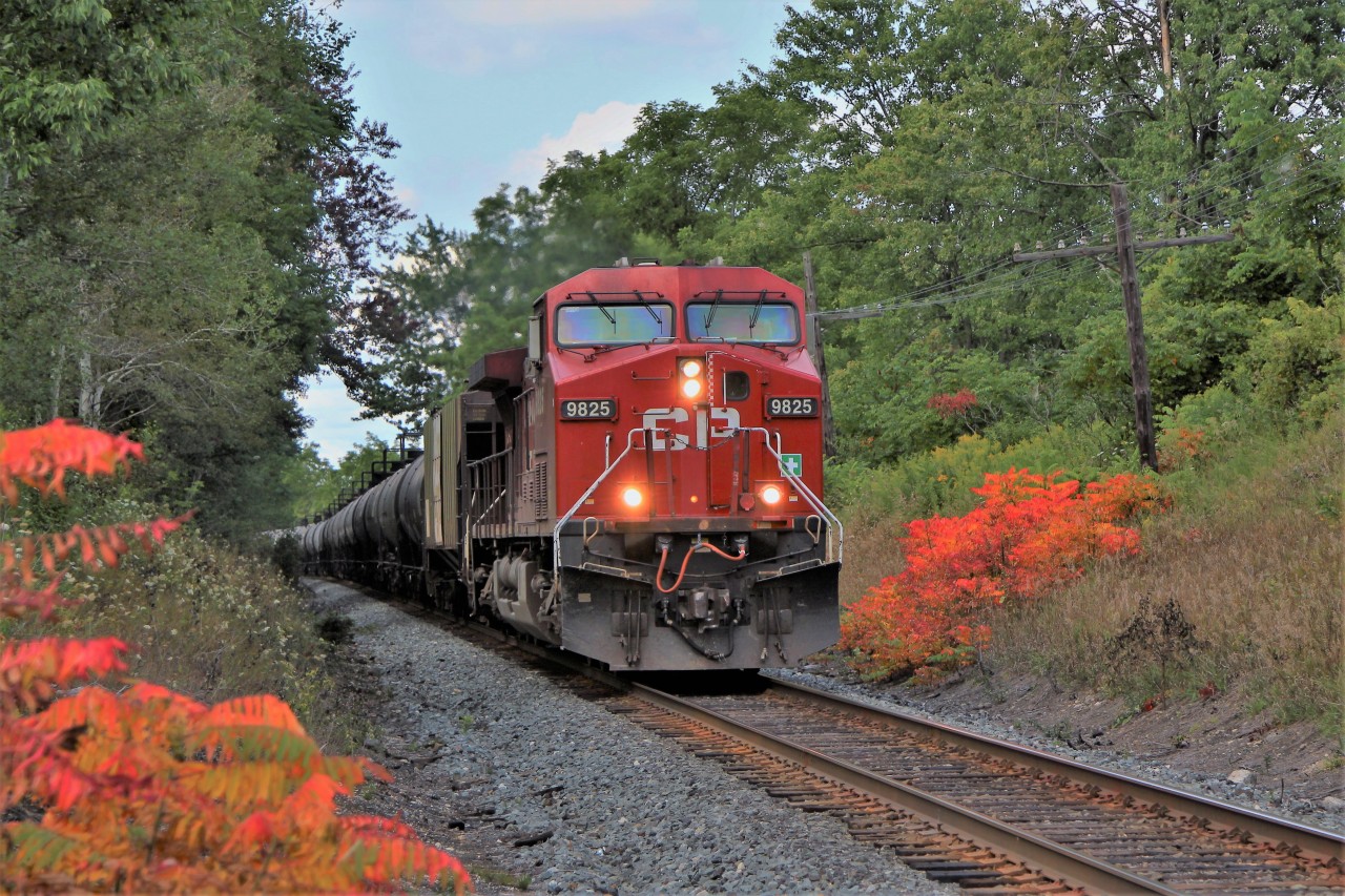 CP 650 led by CP 9825 travels on through Puslinch with CP 8600 pushing from behind as the sumacs along the bank of the track begin to show their colours.