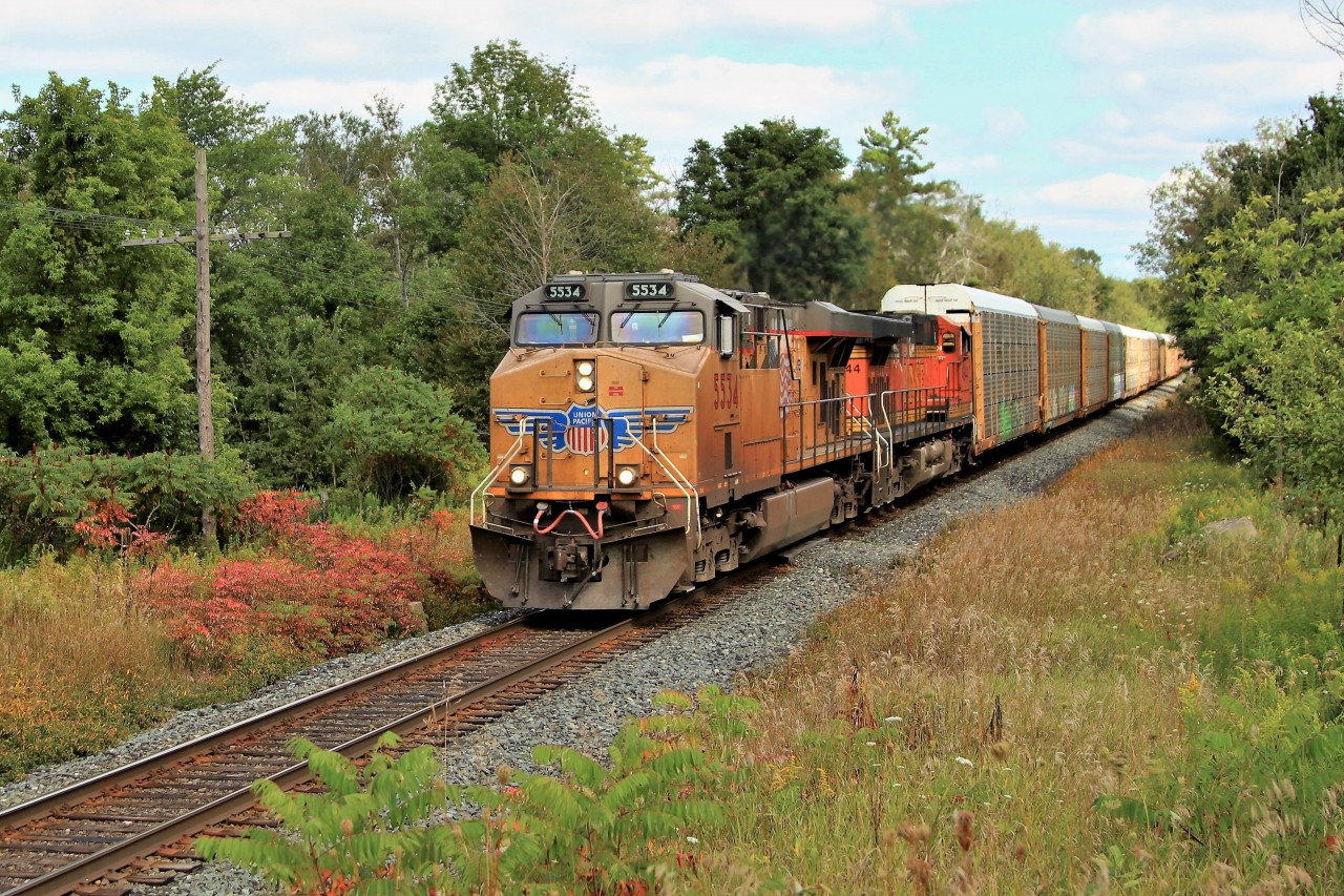 Todays CP 147 led by UP 5534 with BNSF 4944 slowly climbs the grade through Puslinch on its way to the siding where it will meet T69 and CP 254 before continuing westward.