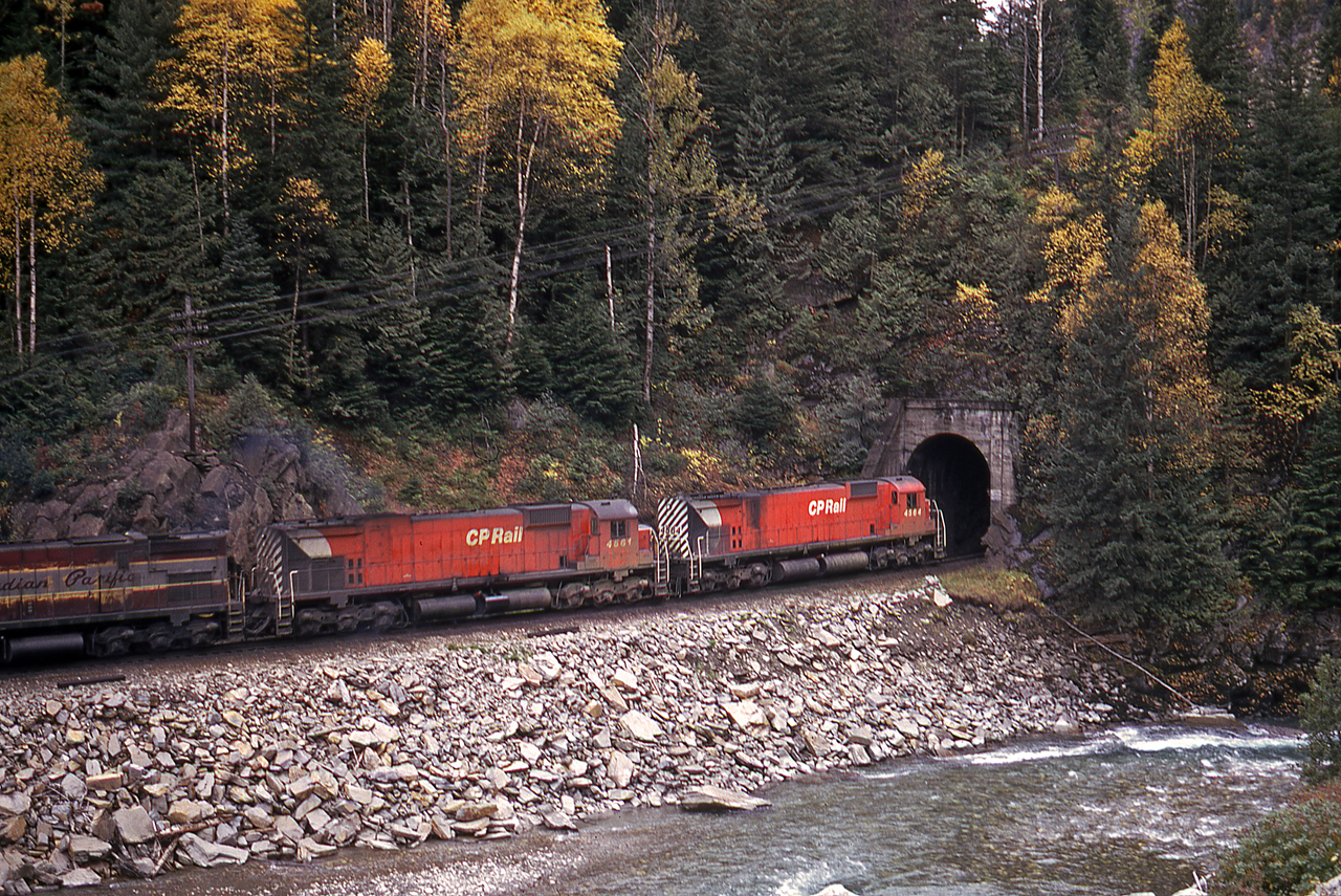 Three big MLW's descend the grade from Glacier towards Revelstoke. The follow the Illcilewat River as it twists and turns through the Selkirk.