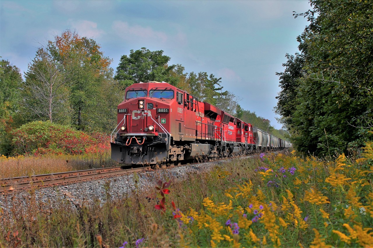 CP 8851 leads CP 5022 and CP 2254 through Puslinch with the fall foliage making for a nice surrounding.