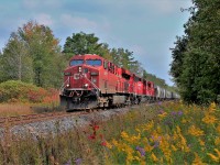 CP 8851 leads CP 5022 and CP 2254 through Puslinch with the fall foliage making for a nice surrounding.
