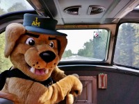 <br>
Where's Vimy ?
<br>
<br>
The Invictus Games Mascot aboard Skyline #8512 on train #2 (08-29) somewhere in Ontario
<br>
<br>
September 1, 2017 photo by Greg Danko, sdfourty collection.
<br>
<br>
Notable: the Invictus Games Flag Run team aboard #2 (entrained at Winnipeg), with Vimy ( the Invictus mascot ( yellow Lab)
<br>
V
VIA Rail is an Invictus Games travel partner
<br>
<br>
Invictus Games in Toronto September 23 to 30, 2017 
<br>
<br>
More VIA Canadian #2
<br>
<br>
  <a href="http://www.railpictures.ca/?attachment_id=30589"> train #2 </a>
<br>
<br>
  <a href="http://www.railpictures.ca/?attachment_id=30558"> head end #2 </a>
<br>
<br>
  <a href="http://www.railpictures.ca/?attachment_id=8227"> really remember </a>