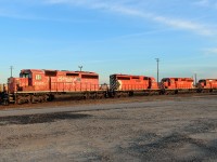 A quartet of Sd40-2's basks in the late afternoon sun.If only they were getting ready as a foursome to haul some freight...