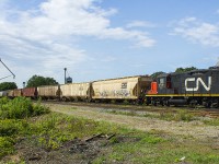 CN 7071 could tell a lot of stories through it's 58 year history. One of the first generation GP9's, it was rebuilt and is still in regular use along the Chatham Subdivision. Here, it is seen coupled back onto it's train after servicing the Agris facility. The Windsor crew operating the train today is wasting no time, as they start to gain momentum. They won't have far to go, as they will perform further switching duties just on the other side of Hwy. 21 (Note the debris in the foreground. This was left after the closing of Hwy 21 at the tracks in early August, as CN rebuilt the crossing so that drivers would not have to further endure a bumpy ride across all three tracks). 