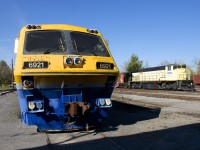 The noses of LRC-3 VIA 6921 and M-420W SLQ 3569 are illuminated in the midday sun at Exporail. 