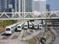 With 67 cab cars with a new nose design delivered to GO Transit in 2015-2016, the cab car ends of their trains certainly look different these days. Here six of them (GOT 307, GOT 302, GOT 355, GOT 328, GOT 304 & GOT 361) lay over at the North Bathurst Yard a bit before the start of the afternoon rush.
