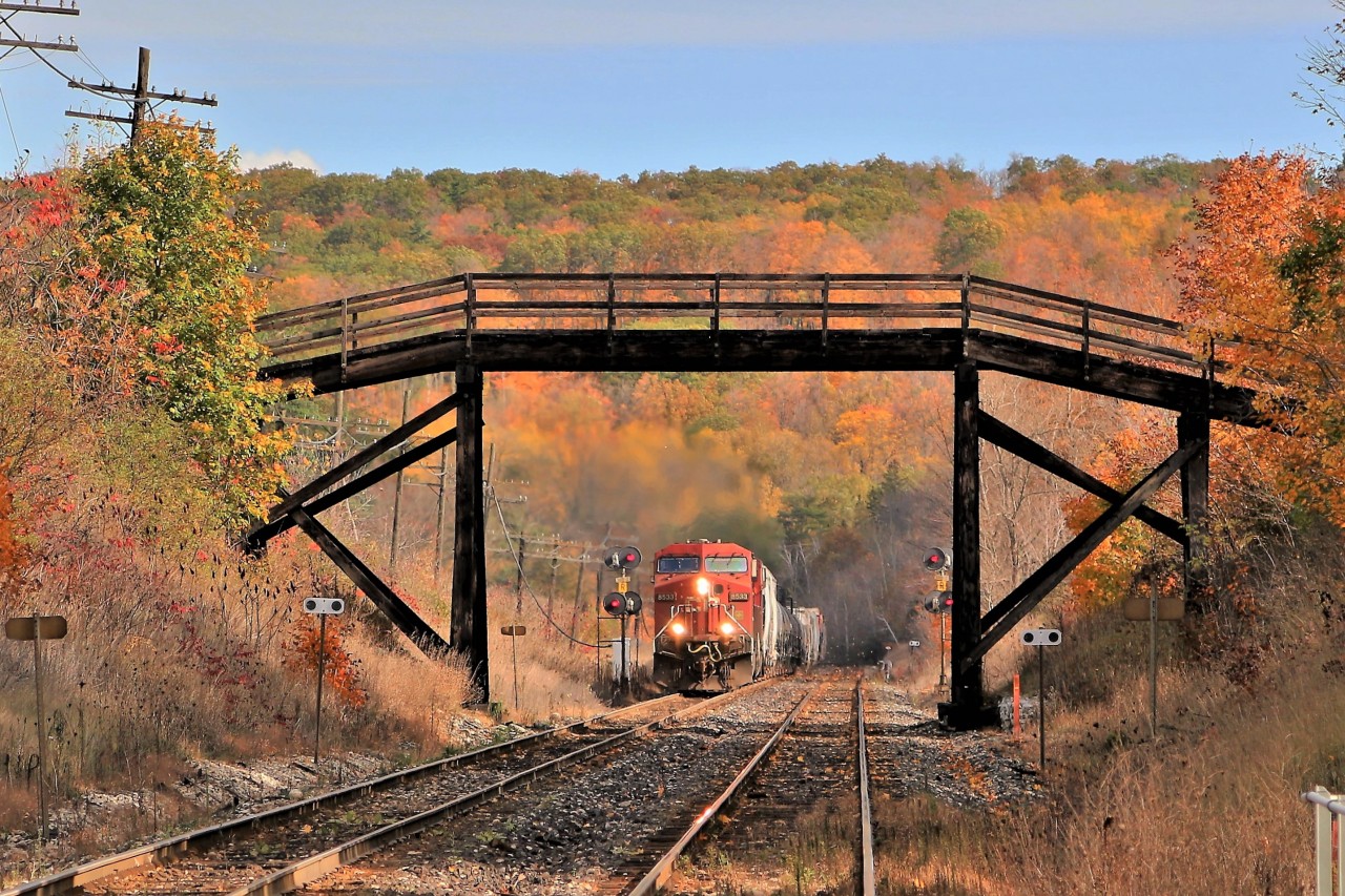 The falling leaves are flying as CP 8533 with CP 9677 haul their load up the grade approaching Mile 37 and the Canyon Road crossing with the Niagara Escarpment in the background.
