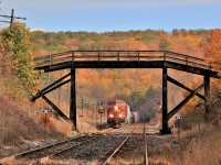 The falling leaves are flying as CP 8533 with CP 9677 haul their load up the grade approaching Mile 37 and the Canyon Road crossing with the Niagara Escarpment in the background.