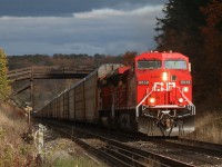 I honestly didn't think I had a chance of catching CP 147 under sunlight. As luck would have it the clouds parted briefly as the train got closer only closing the door minutes later. Up front is freshly overhauled AC4400 #8639 with the reintroduced "beaver" logo, and a BNSF SD70ACE trailing. The fall colours at the wooden farm bridge are fading fast and the old searchlight signals beyond will most likely not see another autumn.