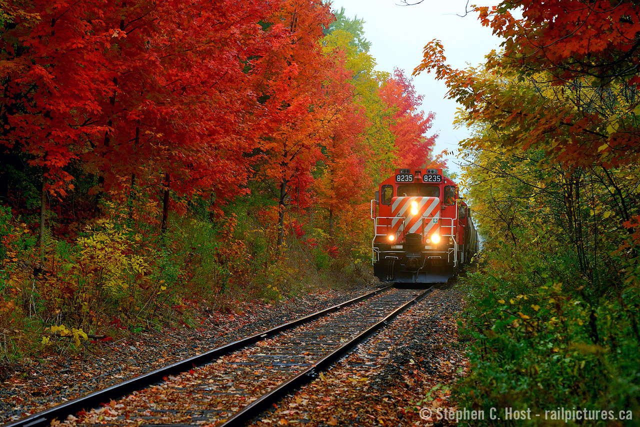 Don't get excited, the fall colours this year aren't this good, not even close. They purely and utterly are garbage. But last year, I found enough fall shots to keep me going for a few years. OSR's Guelph switcher is seen amongst a rainbow of fall colours the likes of which we won't see in 2017 - been waaay too warm around here. Also fair to note that the 8235 is now gone, a pair of GP9's in Guelph? forget it - for now.